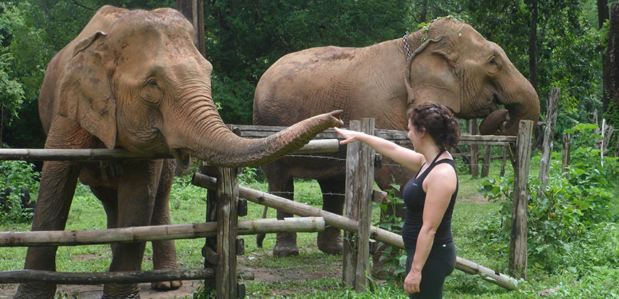 3 DAYS 2 NIGHTS TREK MUANG KONG CHIANG DAO